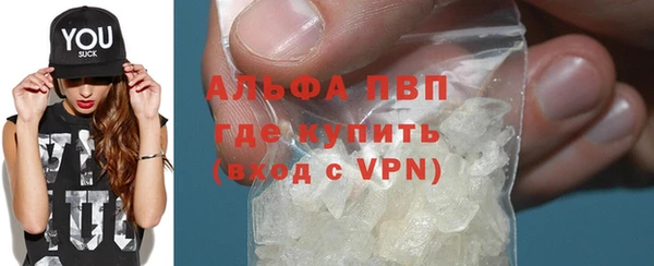 mdpv Бородино