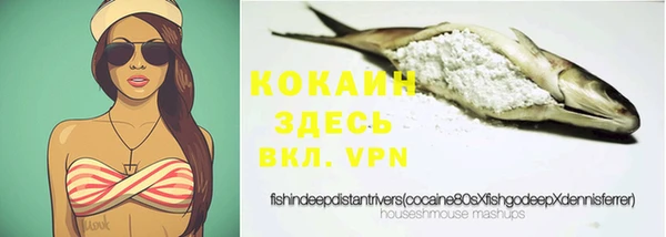 mdpv Бородино