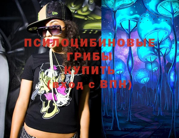 mdpv Бородино