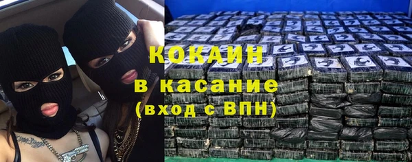 mdpv Бородино