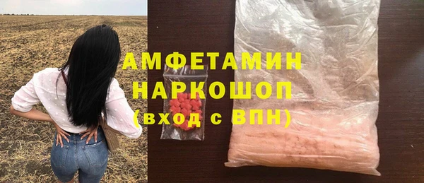 mdpv Бородино