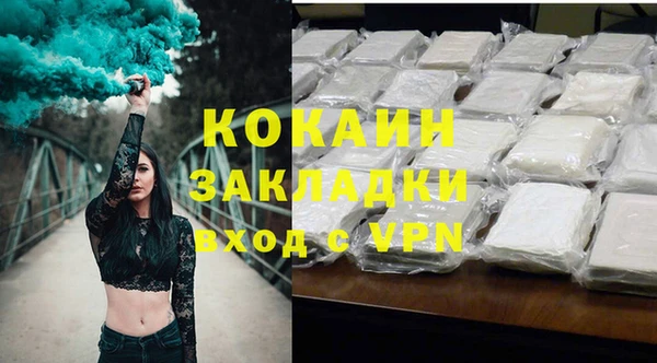 mdpv Бородино